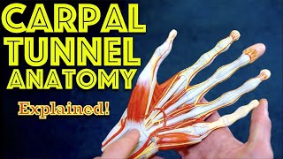 Hand Anatomy - The Carpal Tunnel - Dr Gill