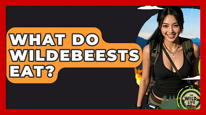 What Do Wildebeests Eat? - The Wild Life Explorer