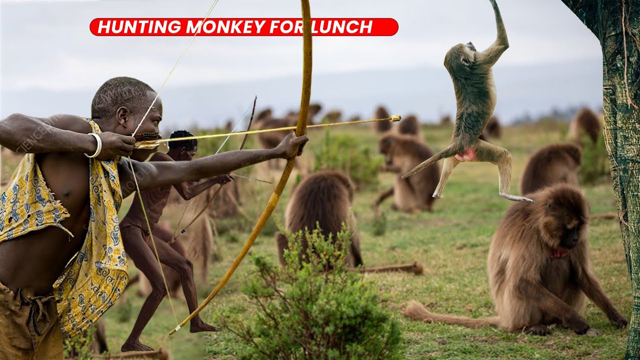 Watch The Hadzabe Tribe Hunt And Eat Monkeys For Food