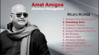 Amat amigos (Reinhard nainggolan) - Melayu Modern