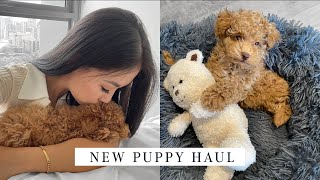 HUGE PUPPY HAUL! New puppy essentials checklist