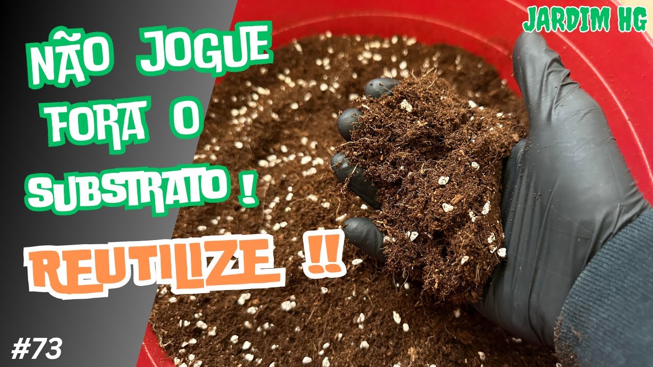 Como REUTILIZAR o COCO ou Turfa como SUBSTRATO