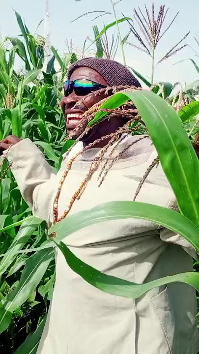 DODON GONA😂 #viralvideo #anjinuwacomedy #comedyfilms #funny #szariahausa #memes #izzarso #viral