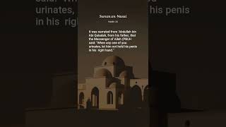 Sunan an-Nasai, Hadith: 24, The Book of Purification