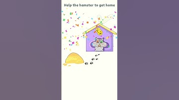 Dop2 Level-101 Help the hamster to get home #dop2