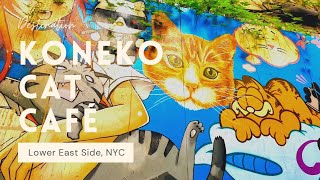 Koneko Cat Cafe  NYC