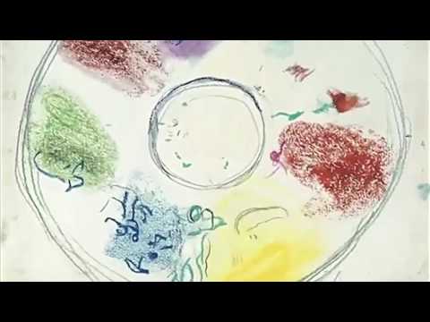 Kandinsky - Chagall | Mikhaïl Rudy | Odyssud Blagnac