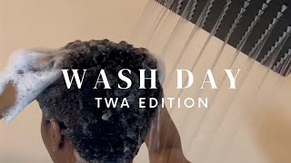 TWA  WASH DAY ROUTINE| NATURAL HAIR | 4A 4b |MICHELE STEELE TV