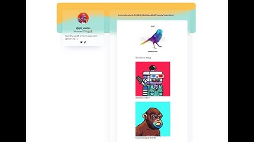 3. Metamask & OpenSea in Bildr - Use the OpenSea API to Get Assets ⛵️