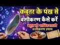 🕊️ कबूतर के पंख से वशीकरण कैसे करें  | महा शक्तिशाली वशीकरण उपाय  | Pandit Parveen Sharma Ji 