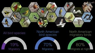 A Movement Unseen: Bird Migration in Action.  Dr. Kyle Horton