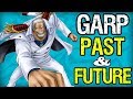 Monkey D. Garp: His Past & Future - One Piece Discussion | Tekking101
