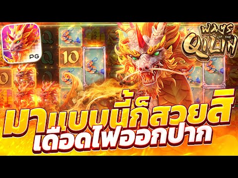 สล็อตกิเลนpg เกมกิเลน กิเลนพีจีใหม่ ways of the qilin สล็อตกิเลนล่าสุด วันนี้ 2025