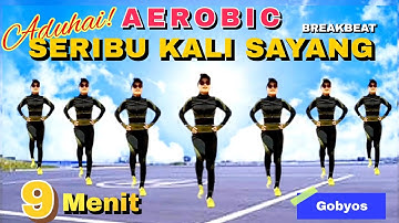 AEROBIC SERIBU KALI SAYANG | SENAM PEMULA HILANGKAN LEMAK PERUT | Irna Chendani