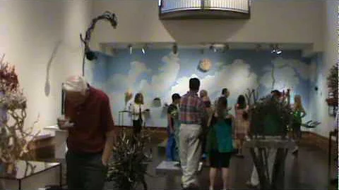 Sherry Owens' Opening