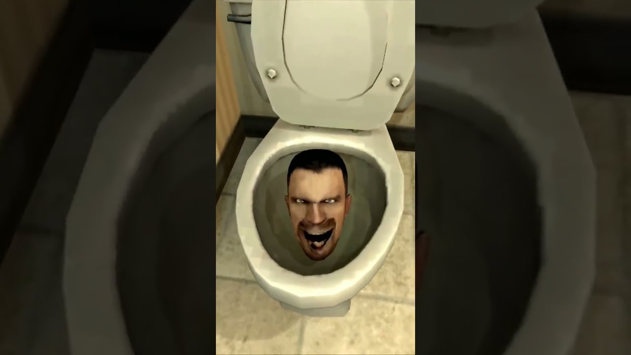 Stupid Toilet 
