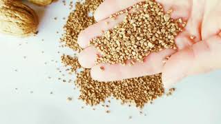 Course Cleaning Automotive Soft Substrates 8/12 Mesh of Walnut Shells Sand Bead Blasting screenshot 4