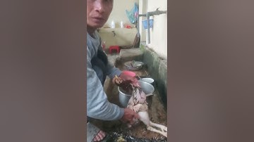 câu chuyện bố vợ của anh rể chết có phải để tang hay không vẫn đang còn dài.