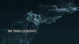 Joy Division - Colony (Official Lyric Video)