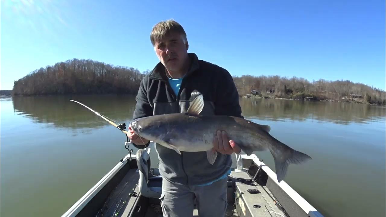Back From Vacation Catfishing YouTube