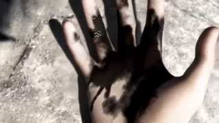 Luciole AMV   SEVEN  720p H 264 AAC