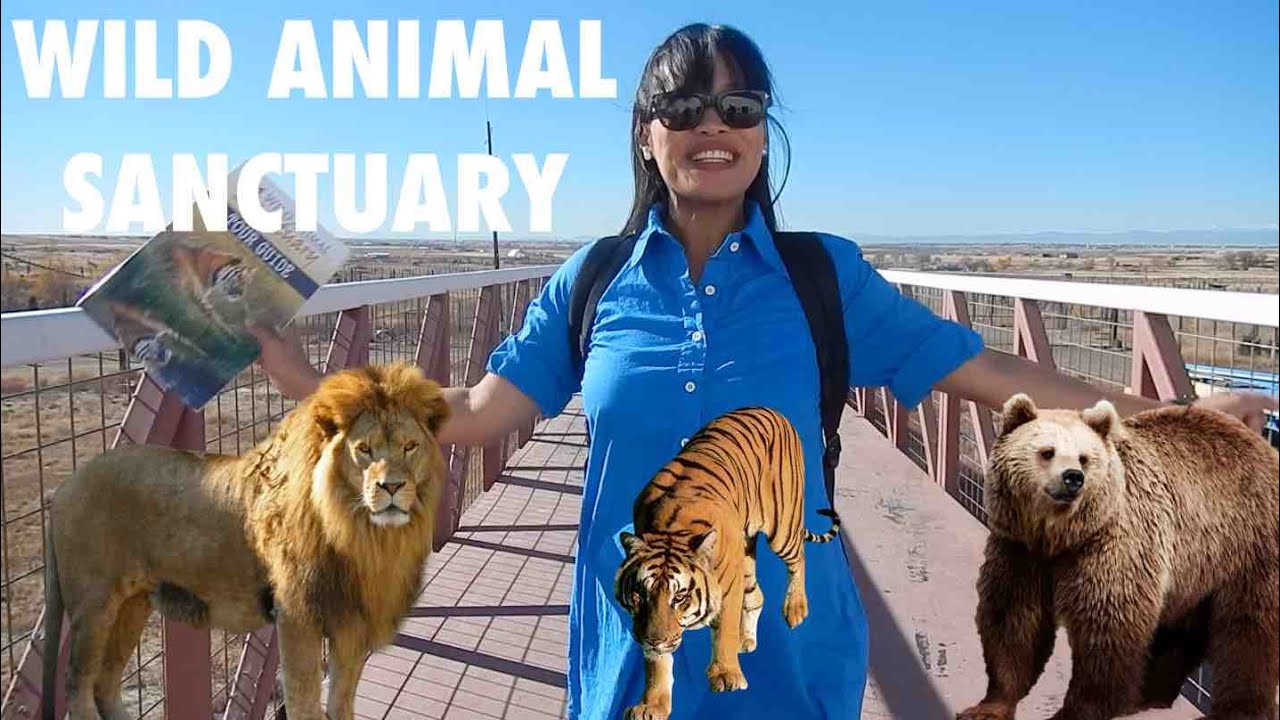 The Wild Animal Sanctuary