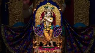 O kanahaiya #kanahaiya #krishna #haribol #radhekrishnalovers #bakebihariji #vrindavan #ytshorts