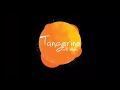 Mere raske qamar  shazeb sheikh choreography  tangerine arts studio