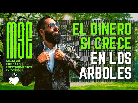 Video: Árbol De Dinero De Bricolaje