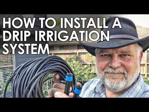 How to Install a Cheap Drip Irrigation System || Black Gumbo