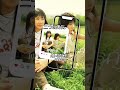 音楽とゆるり #懐かしい #music #音楽 #2000年代 #AI SACHI#二つの勇気