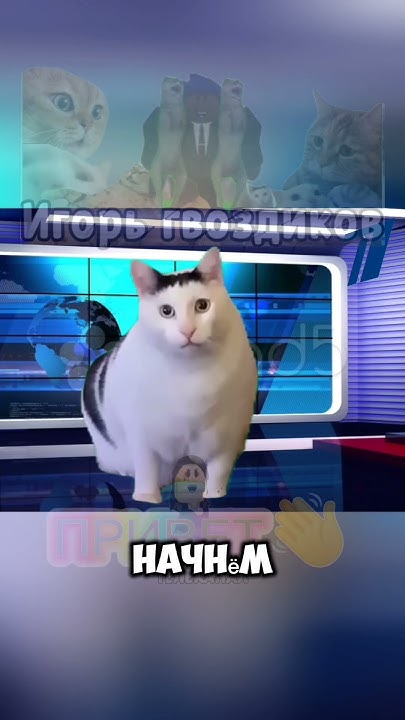 ТИПИЧНЫЕ НОВОСТИ: #2 #roblox #мемы #мем #роблокс #мемчики #cat #mem # ...