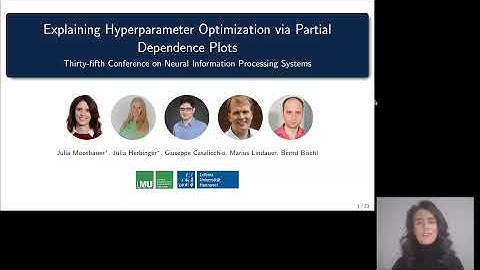 Explaining Hyperparameter Optimization via Partial Dependence Plots (NeurIPS