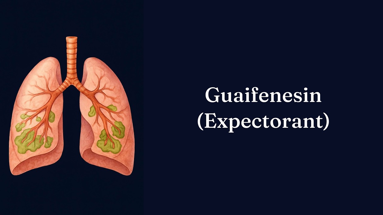 Guaifenesin (Expectorant) | Short Notes | Respiratory Pharmacology ...