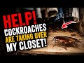 HELP! Cockroaches Are Taking Over My Closet! 🤢 🪳