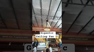 Huge Ceiling fan 😱 Please review @engineeringfacts is possible #shorts #technology #viralshorts