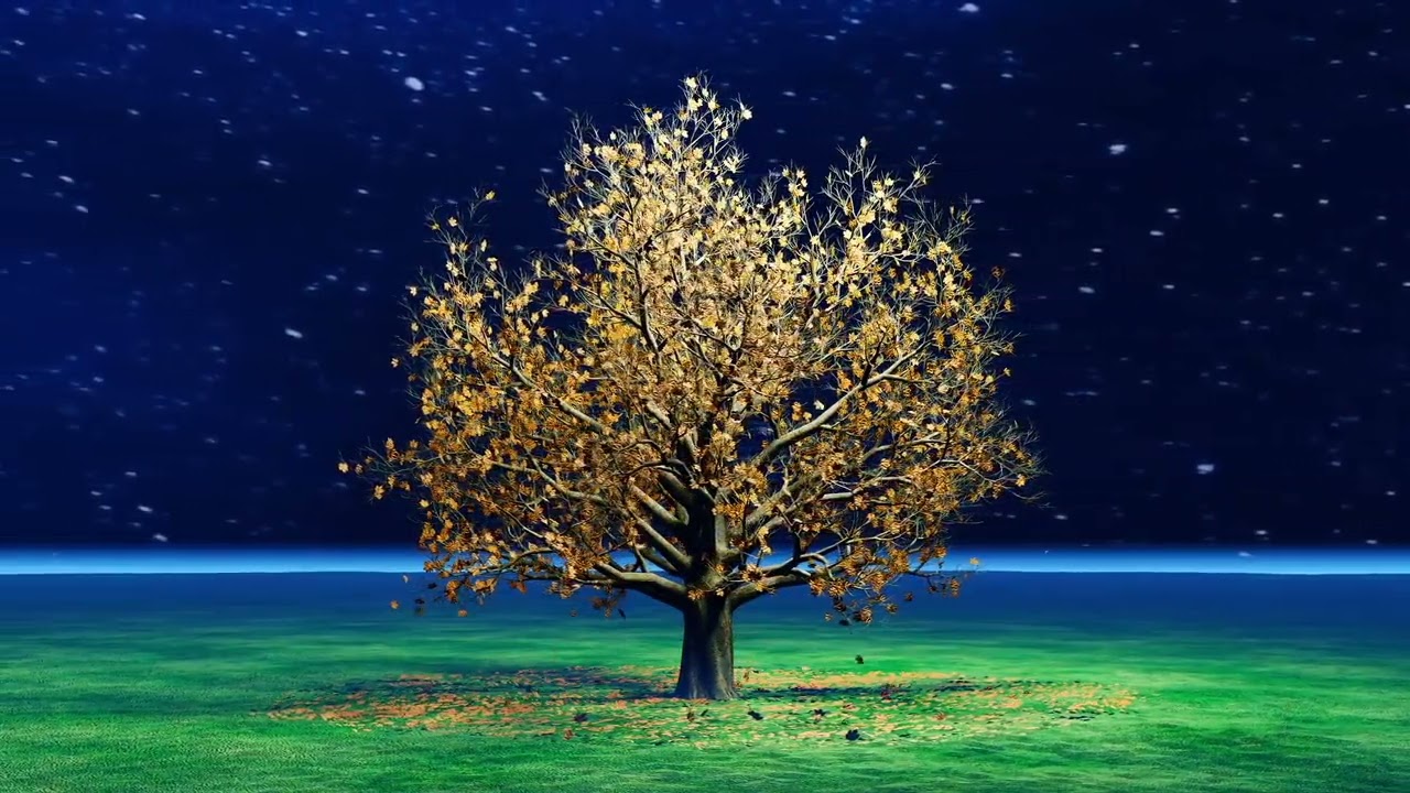 4 Hz Binaural Beat Music | A Sanctuary of Tranquility for your Body and Soul