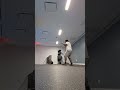 High level solo training