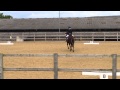Alfie - Badgeworth BD Elementary 59 May 2014