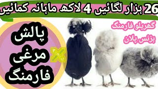 پالش مرغی فارمنگ 4 لاکھ آمدنی ماہانہ Polish Chicken Farming Business Plan Feasibility in Urdu Hindi