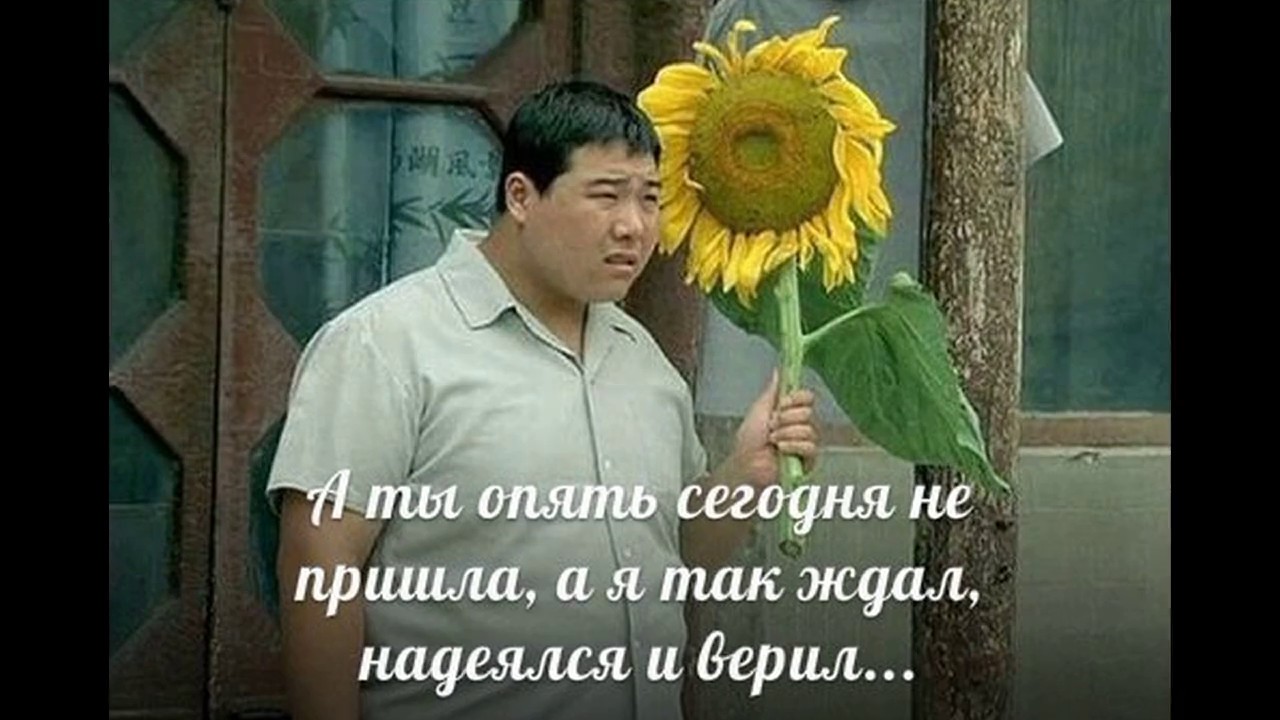 Ты ведешь машину сегодня