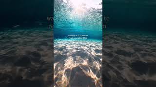 Reset your algorithm #therapy #goproanz #relaxing #calming #nature