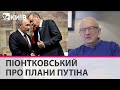 Путину нужно "зерновое перемирие" чтобы остановить контрнаступление ВСУ на Херсон - Піонтковський