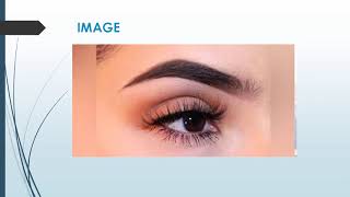 Best LVL Lashes in Kensington