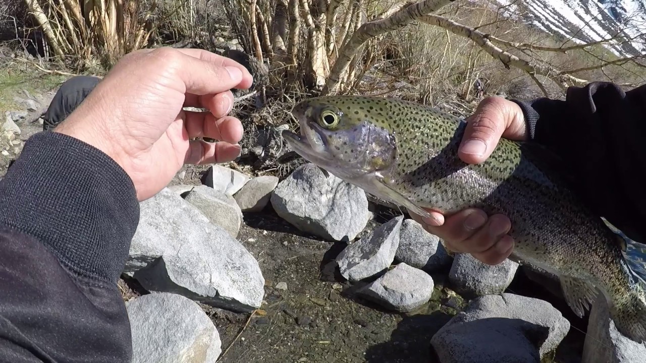 Mammoth and 2017 Insane Trip Part2 YouTube