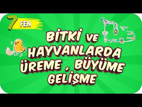 7. Sınıf Fen: Bitki ve Hayvanlarda Üreme, Büyüme ve Gelişme #2022