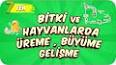 Biyoloji - Bitkilerde Üreme ve Gelişme Nedir? Nasıl Olur ? Ders Notu ve Konu Anlatımı ile ilgili video