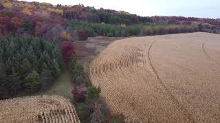 Fall Colors - Central Wisconsin - Drone!