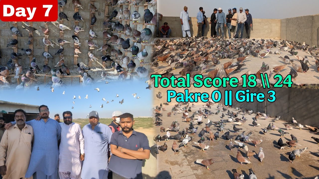 Day 7 || 3 Gire Pakre 0 || Total Score 24 || 18 || Najo Bhai Vs Haji Shab || 500+500 Kabotar Ka Shoq