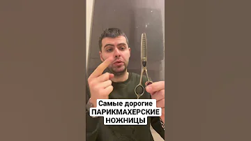 Самые дорогие парикмахерские ножницы
